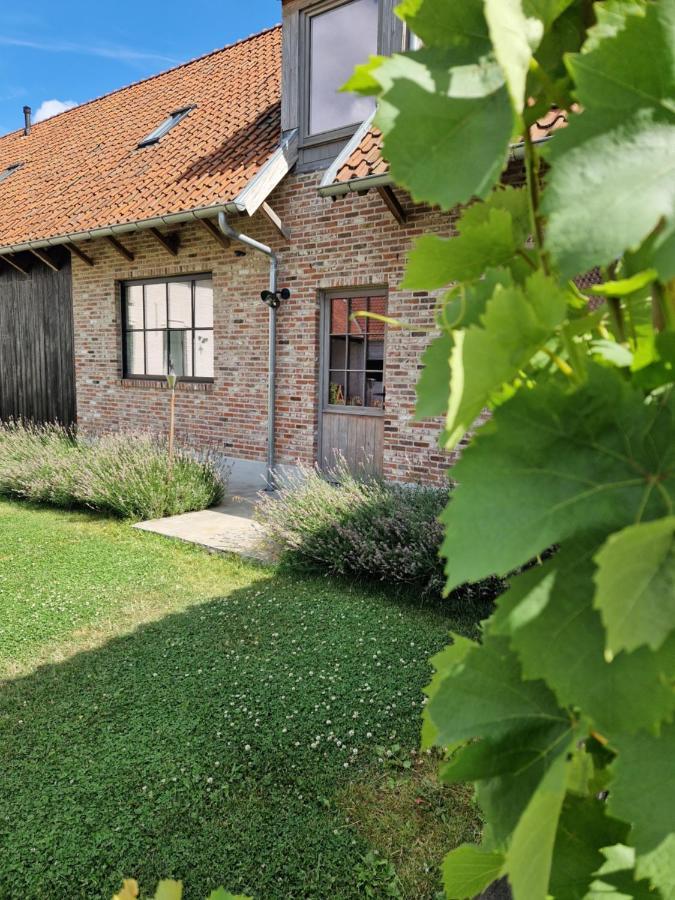 Villa Muntershof Velzeke-Ruddershove Exterior foto